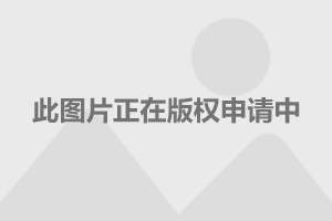 人保车险   品牌优势——快速了解燃油汽车车险,人保伴您前行_2024中国暖通空调行业发展格局及未来市场前景分析