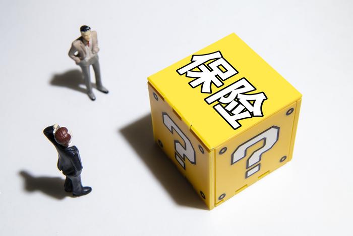 2025中国城中村改造行业市场分析及发展前景预测_人保服务 ,人保车险 品牌优势——快速了解燃油汽车车险
