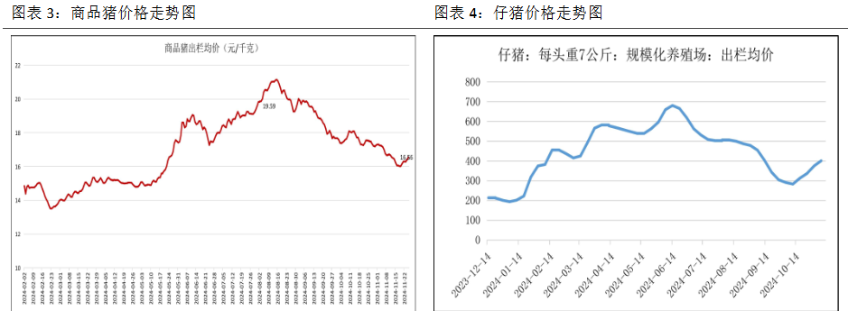 (2024年12月13日)今日生猪期货最新价格查询