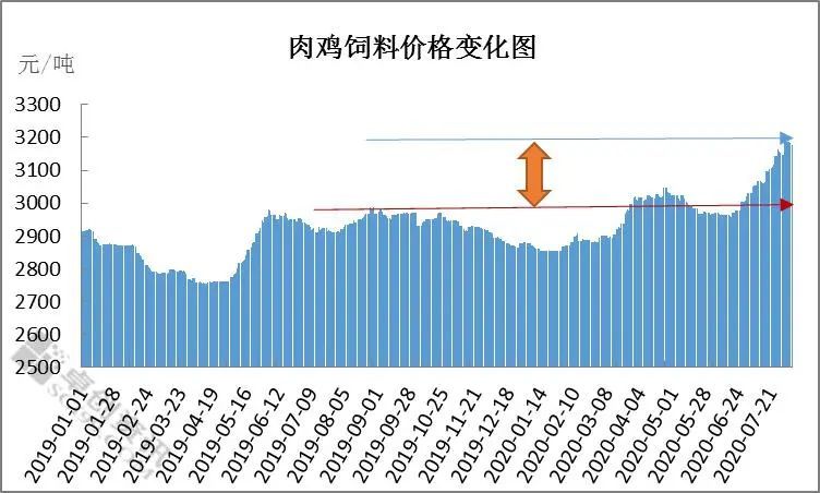 玉米：关注成本线支撑 玉米区间波动