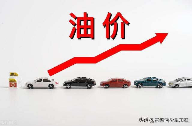 2025年1月4日松树皮报价最新价格多少钱