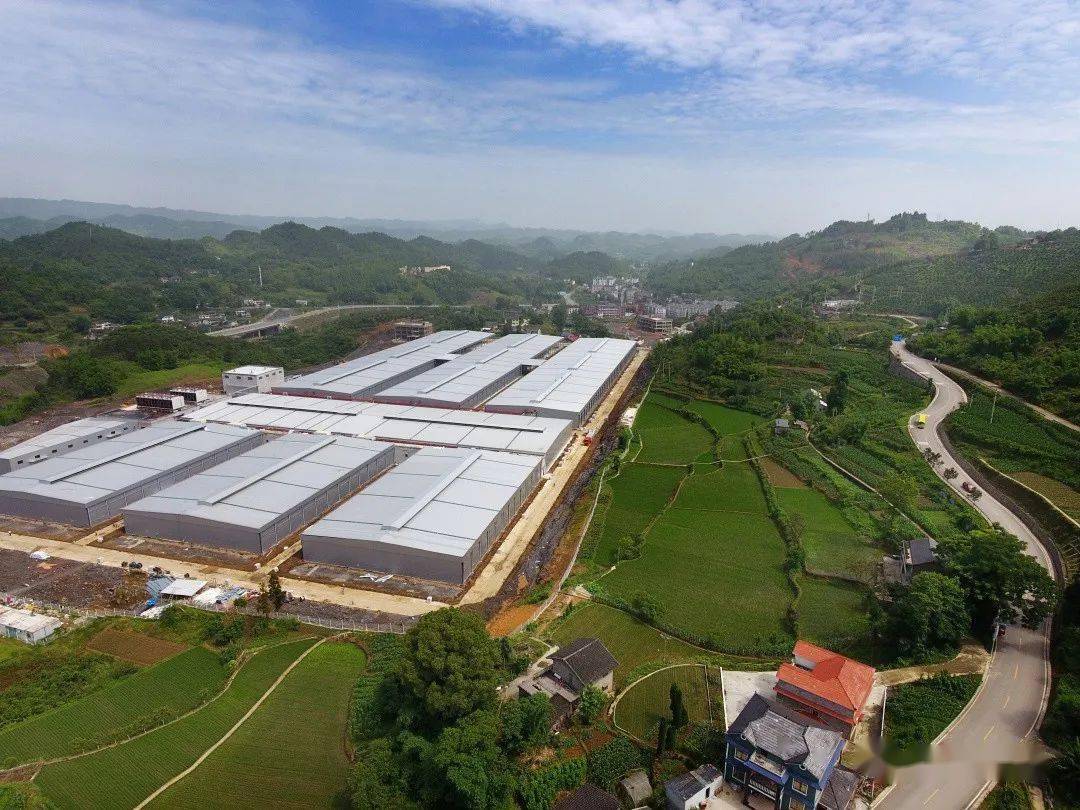 华绿生物:拟将原有金针菇生产线改造为鹿茸菇生产线