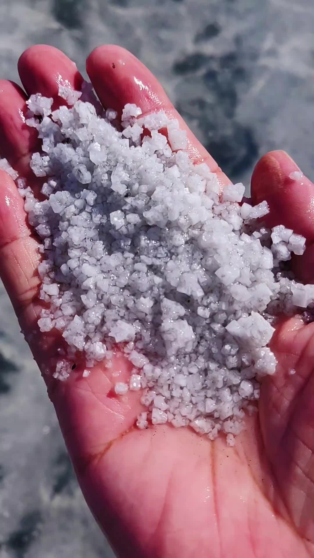 东华科技获得发明专利授权:“一种基于无人机的盐湖卤水取样自密闭装置”