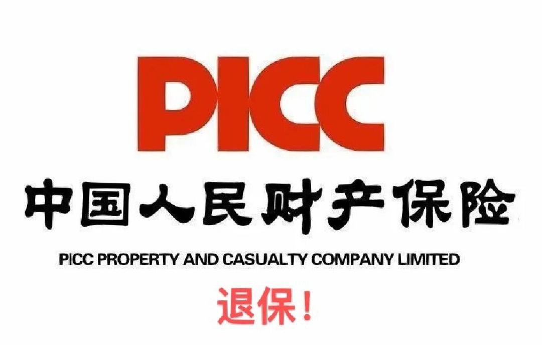 2025中国PVP行业：隐形赛道的战略机遇期_人保服务,人保有温度