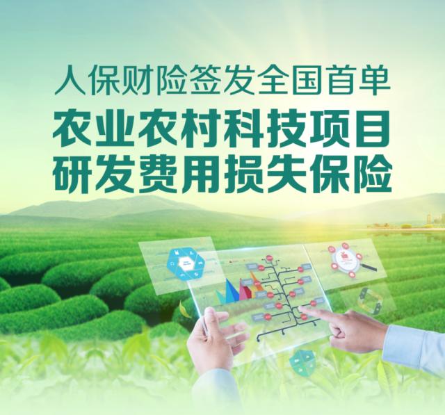 2025花卉行业市场发展现状及市场规模、供需格局分析_人保伴您前行,人保财险 
