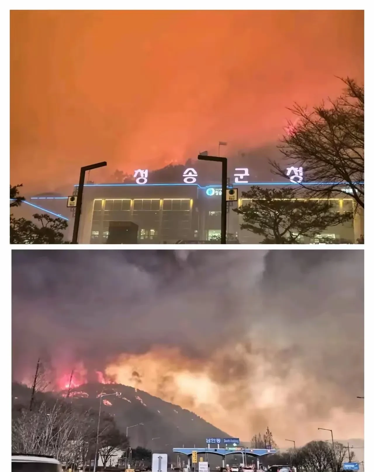 火灾致23人死亡，其中包括17名中国人！韩国涉事企业代表被判20年有期徒刑