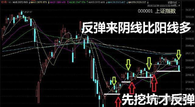 250股连续5日或5日以上获融资净买入