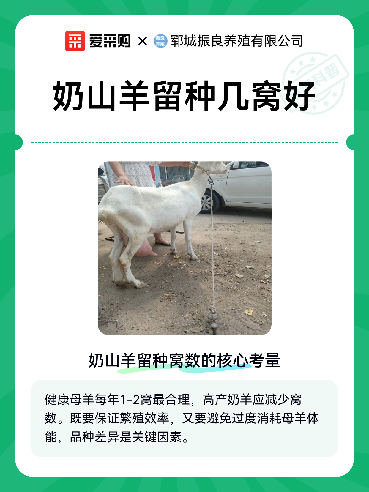 我国首次成功批量克隆超高产奶山羊