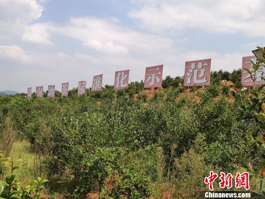 绿电替代 助力地方传统产业蝶变