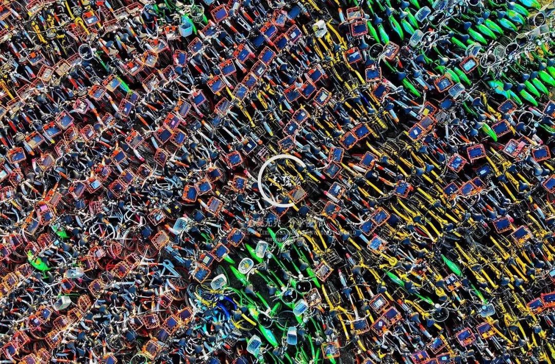 2026中国儿童单车行业:两个轮子上的"小生意",藏着一个大未来_人保服务 ,人保护你周全