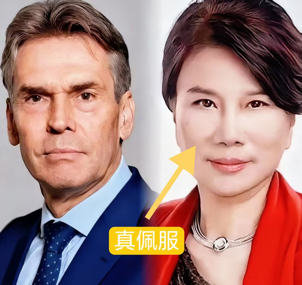 索赔80亿元,闻泰科技起诉荷兰安世半导体获受理