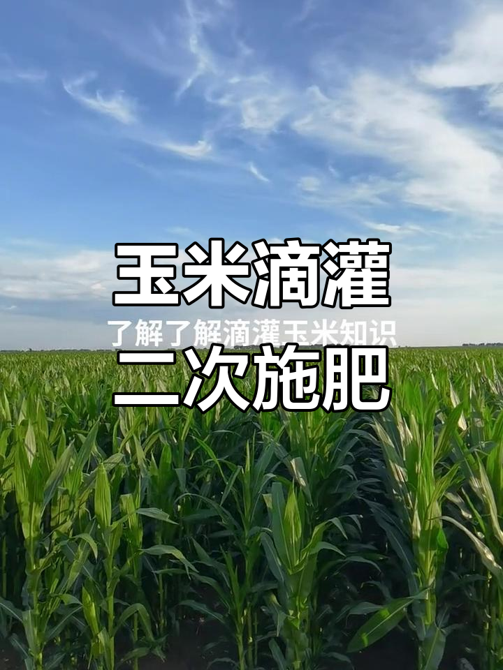 精准滴灌科技创新 年内科创债发行规模超8200亿元