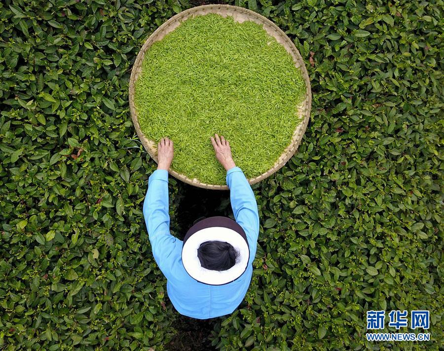 人保车险,人保有温度_2026年中国农膜行业:在绿色转型与价值重塑中迈向高质量发展