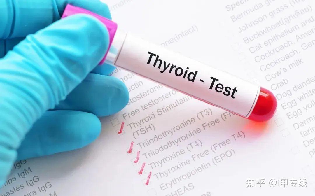 迈瑞医疗获得发明专利授权:“抗甲状腺球蛋白抗体、试剂盒和用途”